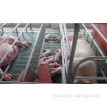 Babi Farrowing Crates Dengan Tingkat Baru Slatted Gaya